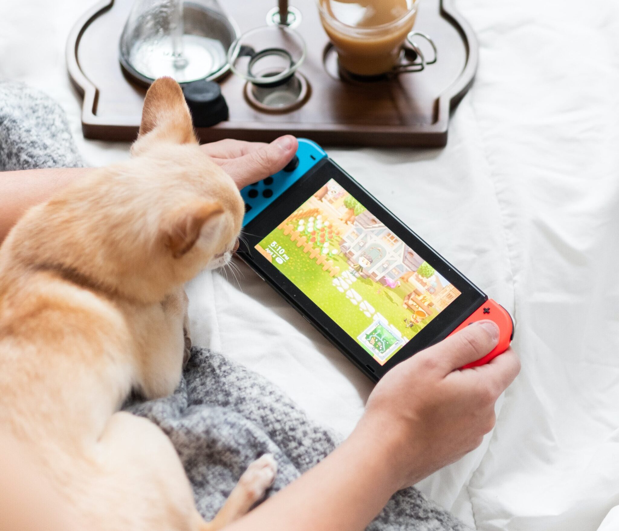 Photo by Mister Mister: https://www.pexels.com/photo/person-holding-nintendo-switch-4075410/